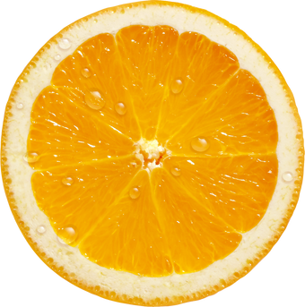 Orange Slice